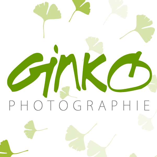 Site internet Ginko Photographie
